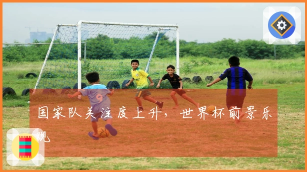 国家队关注度上升，世界杯前景乐观