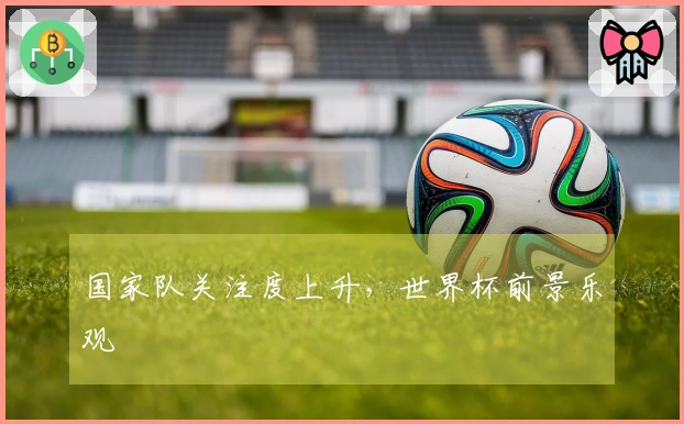 国家队关注度上升，世界杯前景乐观